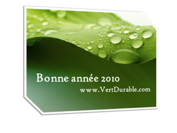 Bonne Année 2010